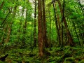 金堂县未来7天天气预报更新数据？金堂县天气情况？