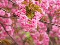筠连县未来7天天气预报更新数据？筠连最新新闻？