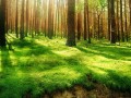嫩江市明天限号吗？嫩江疫情交通管制最新消息？