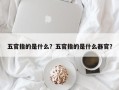 五官指的是什么？五官指的是什么器官？