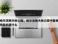 哈尔滨斯大林公园，哈尔滨斯大林公园中最有特色的是什么