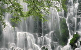 朝阳区明天限号吗？朝阳今天限号吗？