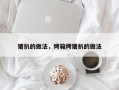 猪扒的做法，烤箱烤猪扒的做法