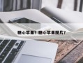 糖心苹果？糖心苹果图片？