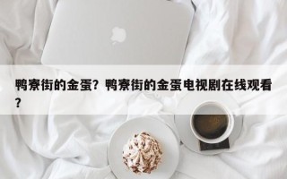 鸭寮街的金蛋？鸭寮街的金蛋电视剧在线观看？