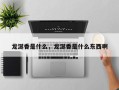 龙涎香是什么，龙涎香是什么东西啊