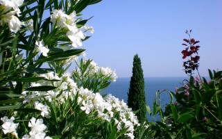 厦门旅游计划攻略夏天？厦门夏天一日游？