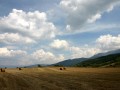 东北旅游攻略自驾冬天，东北游玩攻略冬季