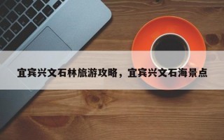 宜宾兴文石林旅游攻略，宜宾兴文石海景点