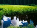 大连青岛烟台旅游攻略，大连烟台青岛一线攻略？